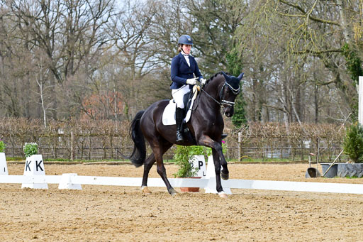 Reitsportzentrum Bremervörde | 170421 Dressurreiter L_358 