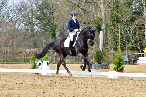 Reitsportzentrum Bremervörde | 170421 Dressurreiter L_359 