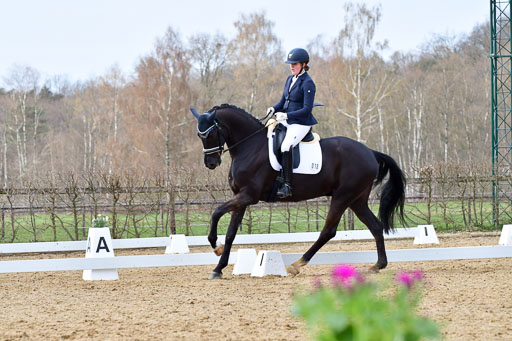 Reitsportzentrum Bremervörde | 170421 Dressurreiter L_362 