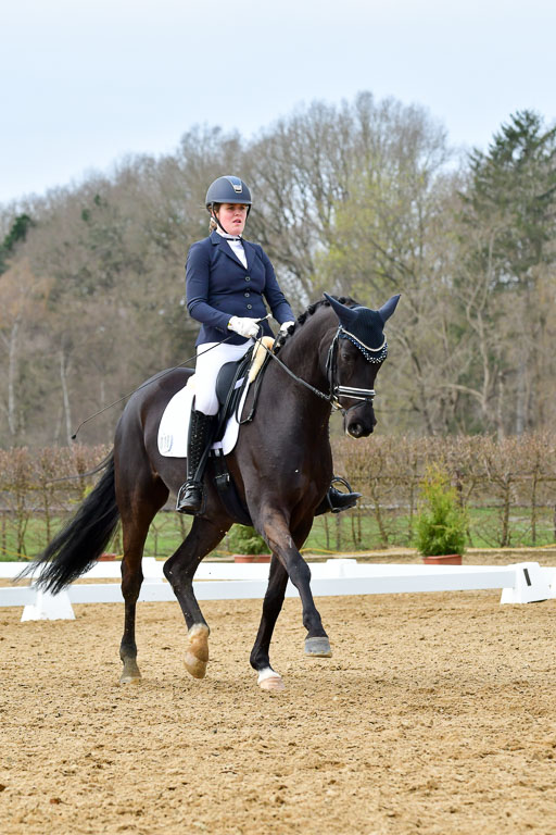 Reitsportzentrum Bremervörde | 170421 Dressurreiter L_363 
