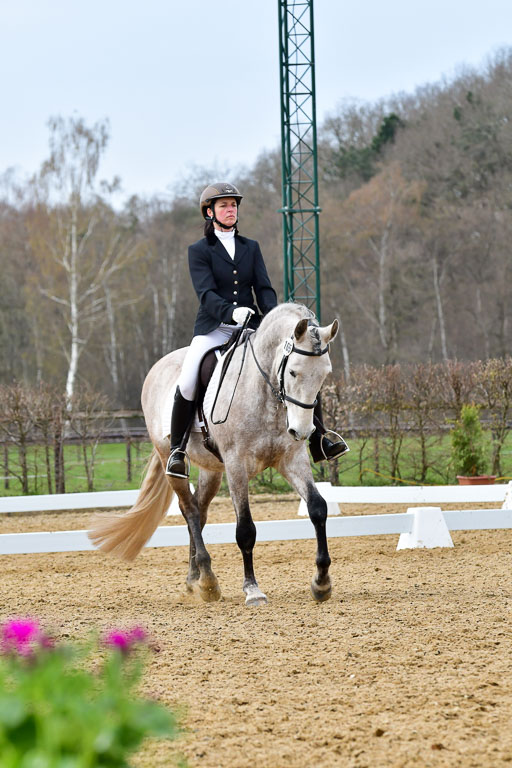 Reitsportzentrum Bremervörde | 170421 Dressurreiter L_377 