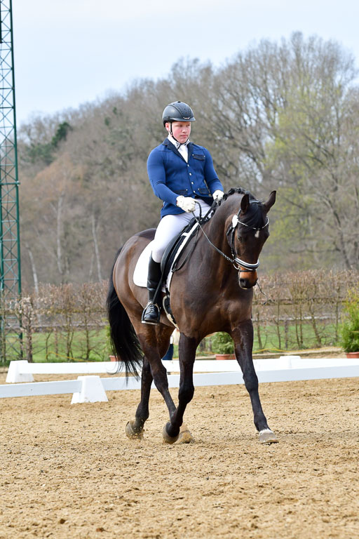 Reitsportzentrum Bremervörde | 170421 Dressurreiter L_382 