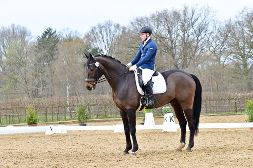 Reitsportzentrum Bremervörde | 170421 Dressurreiter L_389 