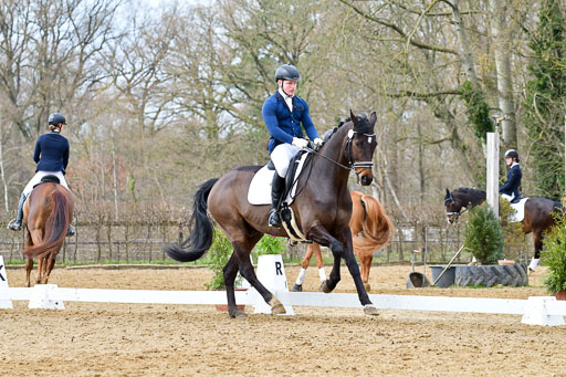 Reitsportzentrum Bremervörde | 170421 Dressurreiter L_393 