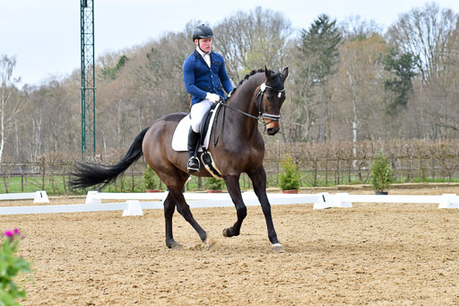 Reitsportzentrum Bremervörde | 170421 Dressurreiter L_395 