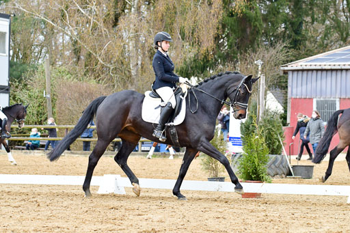 Reitsportzentrum Bremervörde | 170421 Dressurreiter L_399 