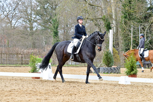 Reitsportzentrum Bremervörde | 170421 Dressurreiter L_410 