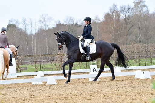 Reitsportzentrum Bremervörde | 170421 Dressurreiter L_413 