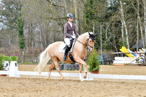 Reitsportzentrum Bremervörde | 170421 Dressurreiter L_417 
