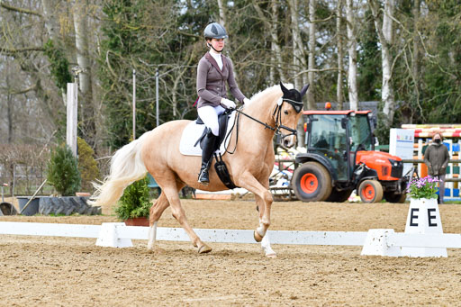 Reitsportzentrum Bremervörde | 170421 Dressurreiter L_418 