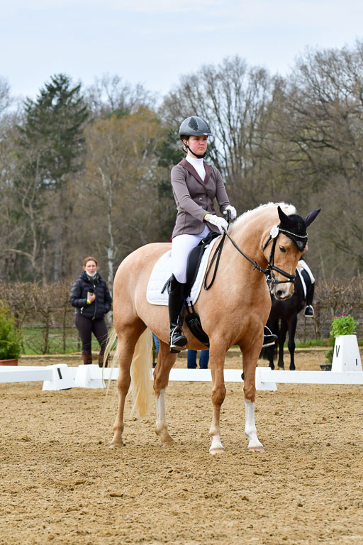 Reitsportzentrum Bremervörde | 170421 Dressurreiter L_420 