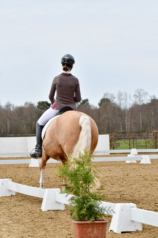 Reitsportzentrum Bremervörde | 170421 Dressurreiter L_421 