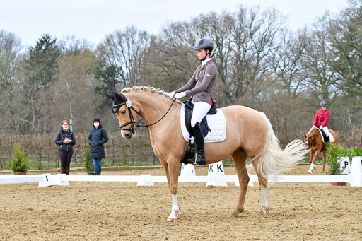 Reitsportzentrum Bremervörde | 170421 Dressurreiter L_422 