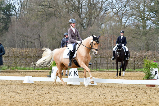 Reitsportzentrum Bremervörde | 170421 Dressurreiter L_425 