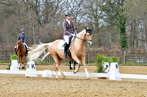 Reitsportzentrum Bremervörde | 170421 Dressurreiter L_426 