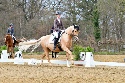 Reitsportzentrum Bremervörde | 170421 Dressurreiter L_427 