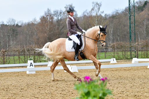 Reitsportzentrum Bremervörde | 170421 Dressurreiter L_428 