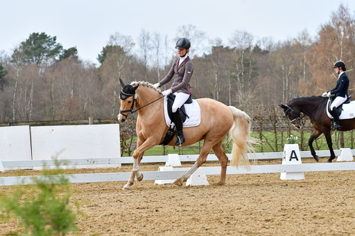 Reitsportzentrum Bremervörde | 170421 Dressurreiter L_429 