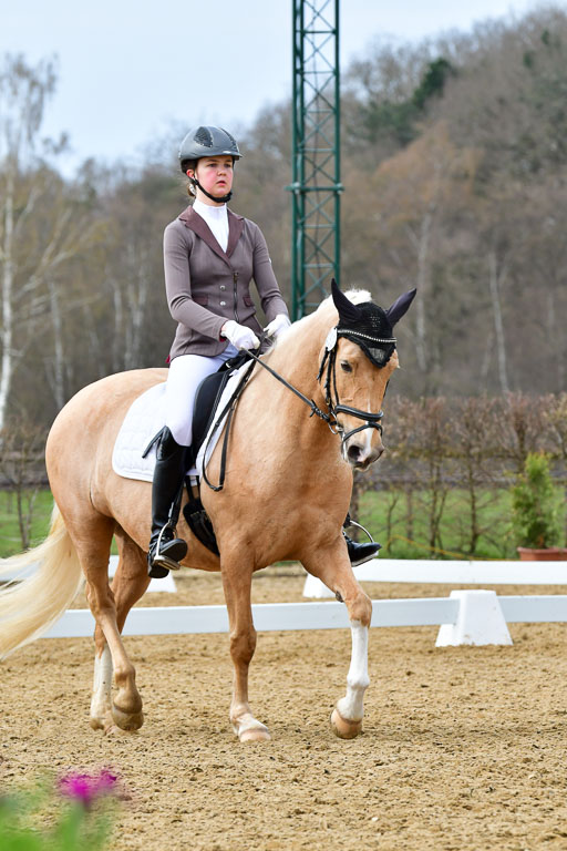 Reitsportzentrum Bremervörde | 170421 Dressurreiter L_431 