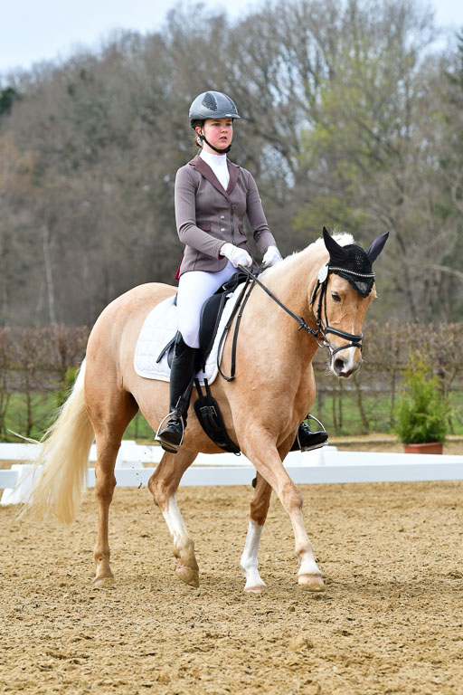Reitsportzentrum Bremervörde | 170421 Dressurreiter L_432 