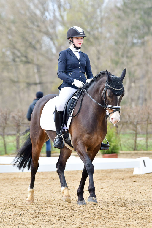 Reitsportzentrum Bremervörde | 170421 Dressurreiter L_435 