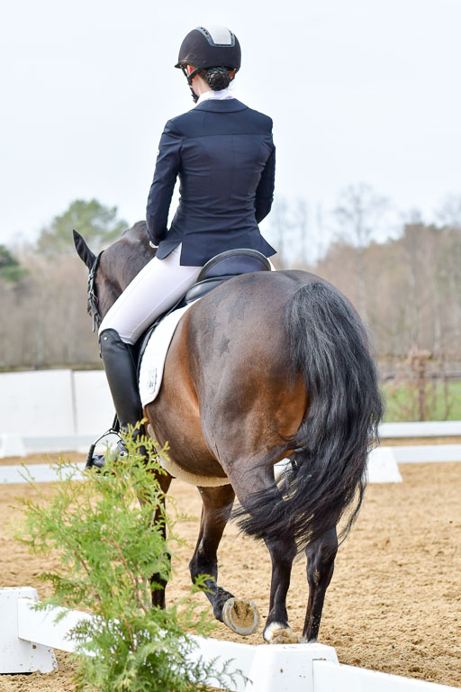 Reitsportzentrum Bremervörde | 170421 Dressurreiter L_437 