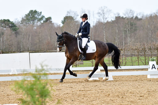 Reitsportzentrum Bremervörde | 170421 Dressurreiter L_438 