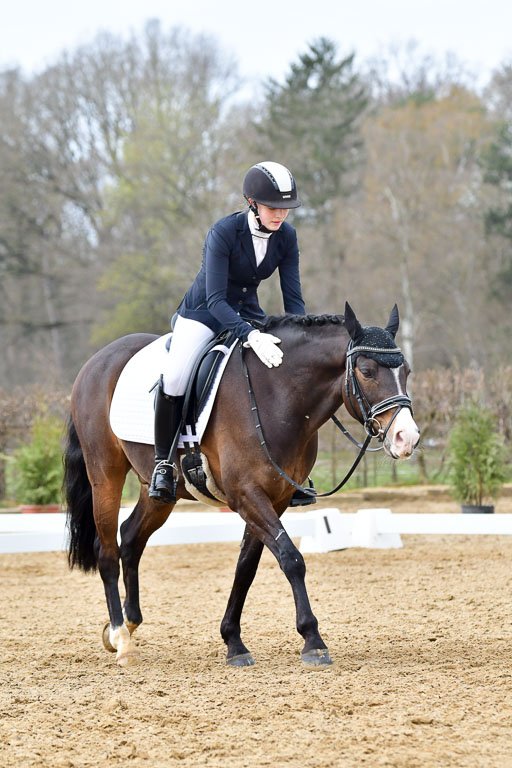 Reitsportzentrum Bremervörde | 170421 Dressurreiter L_440 