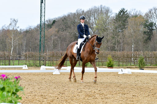 Reitsportzentrum Bremervörde | 170421 Dressurreiter L_442 