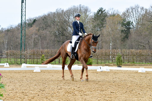 Reitsportzentrum Bremervörde | 170421 Dressurreiter L_443 