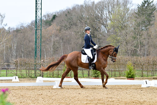 Reitsportzentrum Bremervörde | 170421 Dressurreiter L_444 