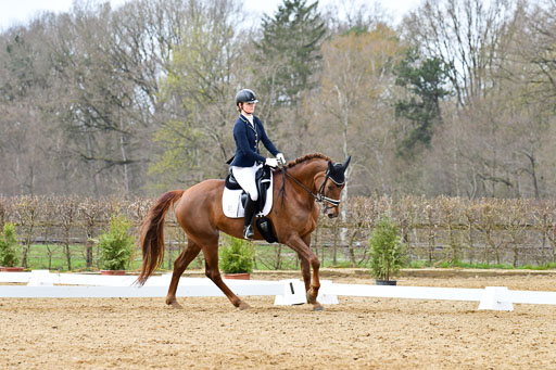Reitsportzentrum Bremervörde | 170421 Dressurreiter L_445 