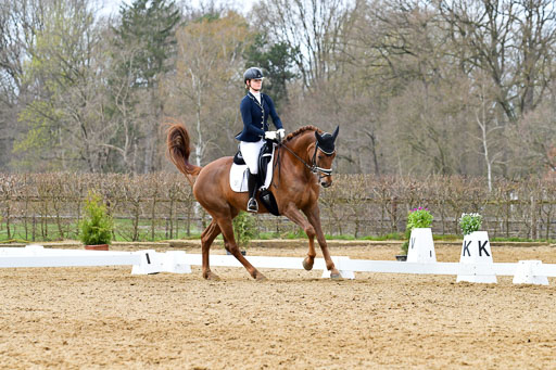 Reitsportzentrum Bremervörde | 170421 Dressurreiter L_446 