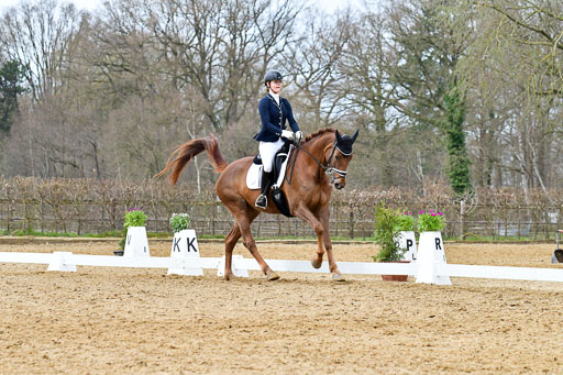 Reitsportzentrum Bremervörde | 170421 Dressurreiter L_447 