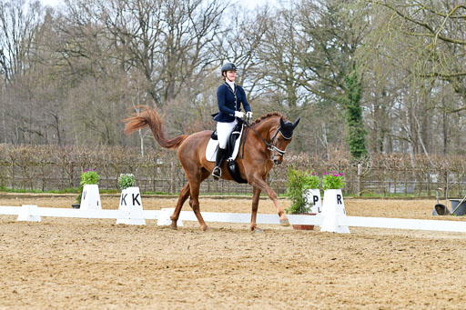 Reitsportzentrum Bremervörde | 170421 Dressurreiter L_448 