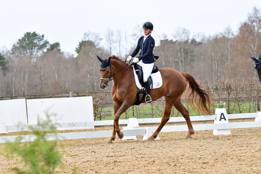 Reitsportzentrum Bremervörde | 170421 Dressurreiter L_449 