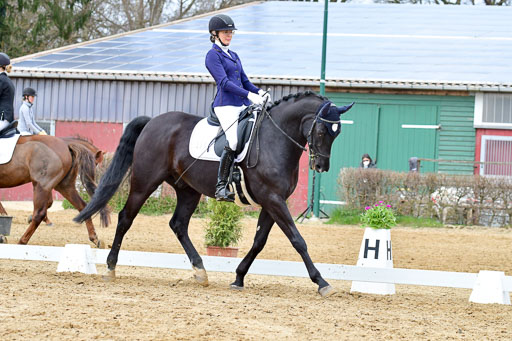 Reitsportzentrum Bremervörde | 170421 Dressurreiter L_451 