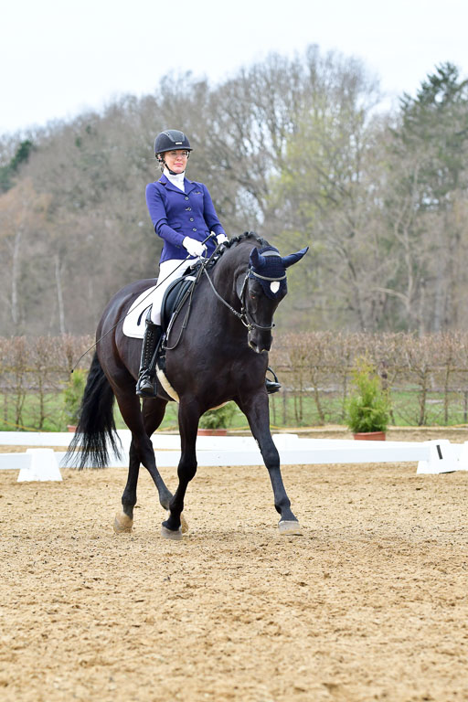 Reitsportzentrum Bremervörde | 170421 Dressurreiter L_453 