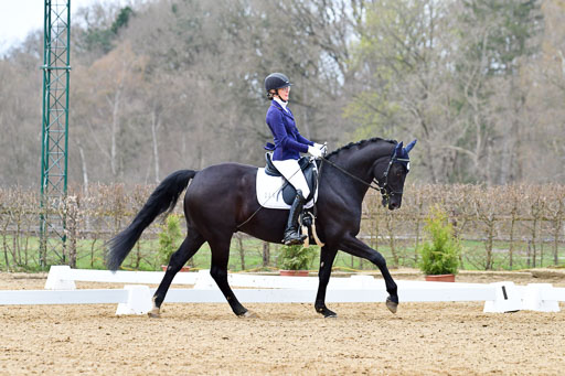 Reitsportzentrum Bremervörde | 170421 Dressurreiter L_456 