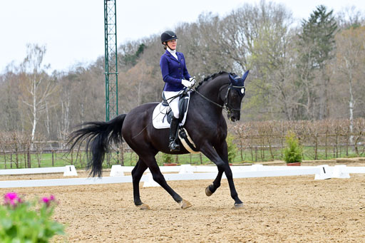 Reitsportzentrum Bremervörde | 170421 Dressurreiter L_458 