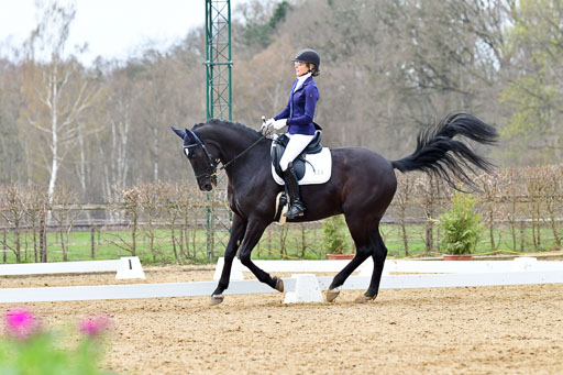 Reitsportzentrum Bremervörde | 170421 Dressurreiter L_459 