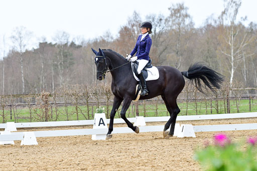 Reitsportzentrum Bremervörde | 170421 Dressurreiter L_460 
