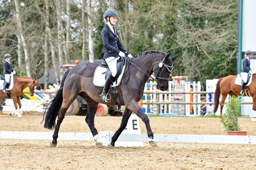 Reitsportzentrum Bremervörde | 170421 Dressurreiter L_464 