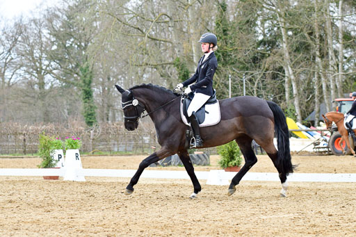Reitsportzentrum Bremervörde | 170421 Dressurreiter L_467 