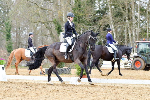 Reitsportzentrum Bremervörde | 170421 Dressurreiter L_469 