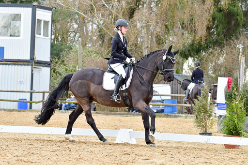 Reitsportzentrum Bremervörde | 170421 Dressurreiter L_471 