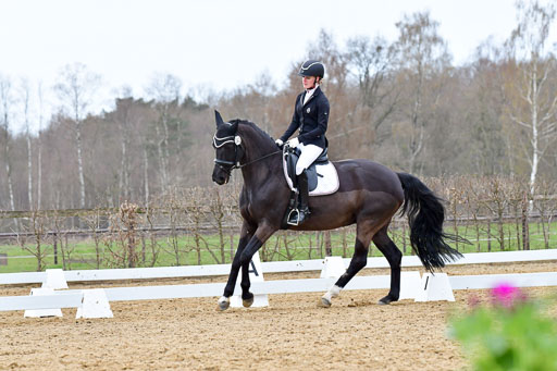 Reitsportzentrum Bremervörde | 170421 Dressurreiter L_473 