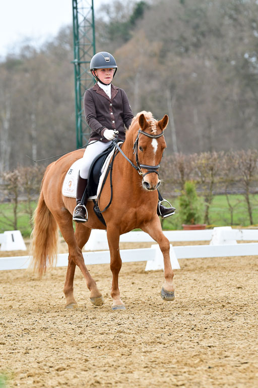 Reitsportzentrum Bremervörde | 170421 Dressurreiter L_475 