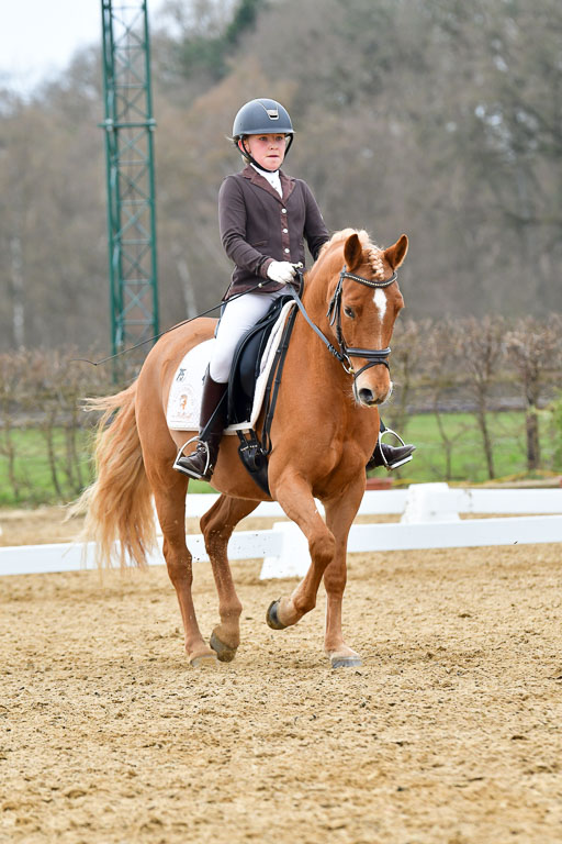 Reitsportzentrum Bremervörde | 170421 Dressurreiter L_476 
