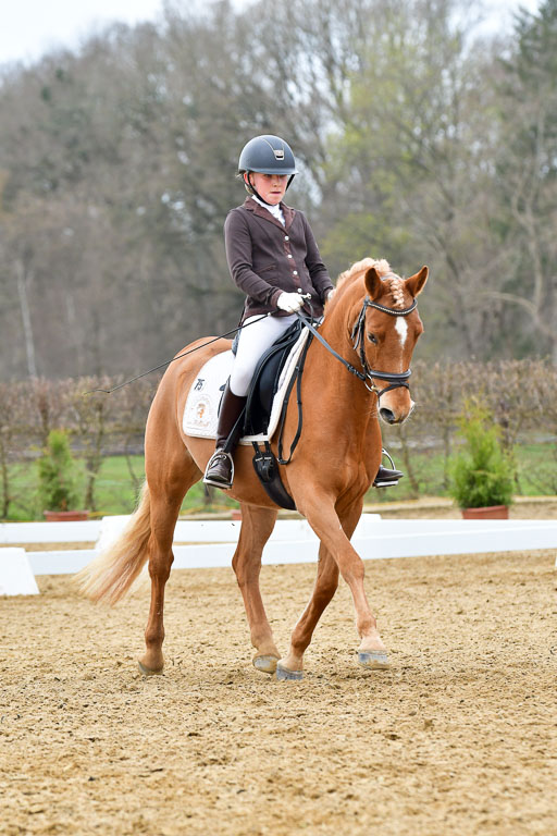 Reitsportzentrum Bremervörde | 170421 Dressurreiter L_478 